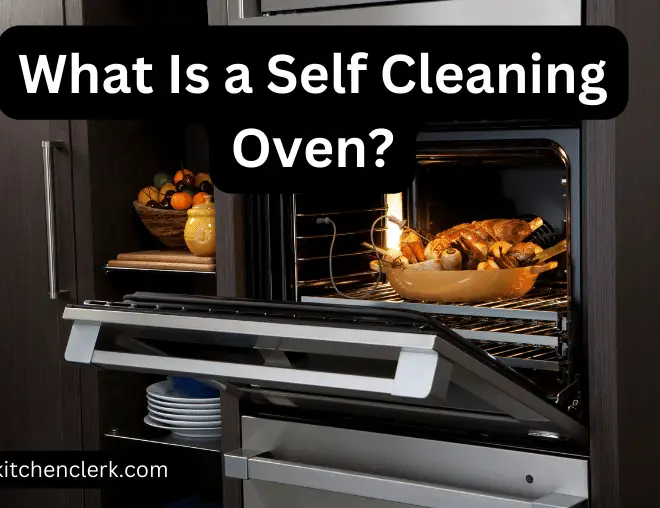 What Is a Self Cleaning Oven? (And How Does It Work?)