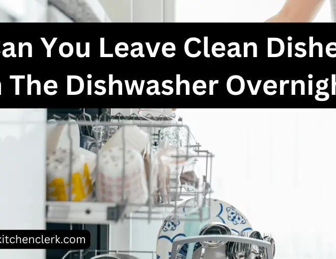 Can You Leave Clean Dishes in The Dishwasher Overnight?