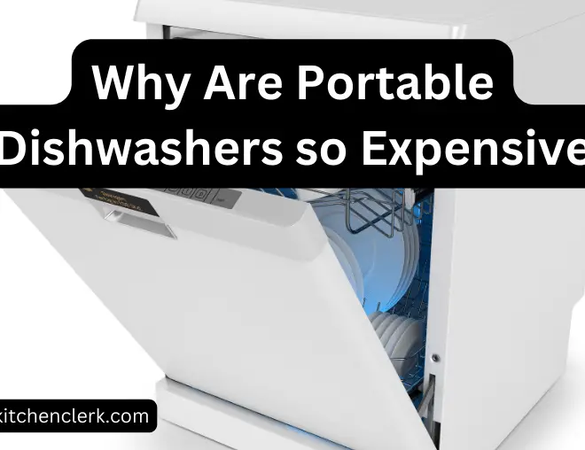 Why Are Portable Dishwashers so Expensive?