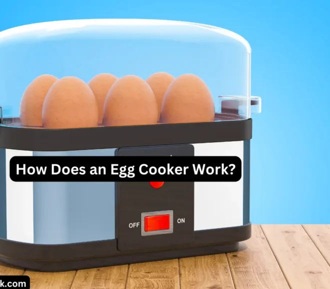 How Does an Egg Cooker Work? – Explained