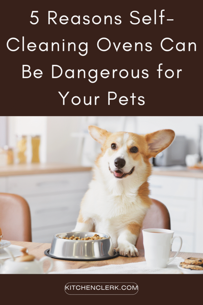 Reasons Self-Cleaning Ovens Aren’t Pet-Friendly