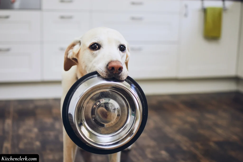 Self-Cleaning Ovens Aren’t Pet-Friendly
